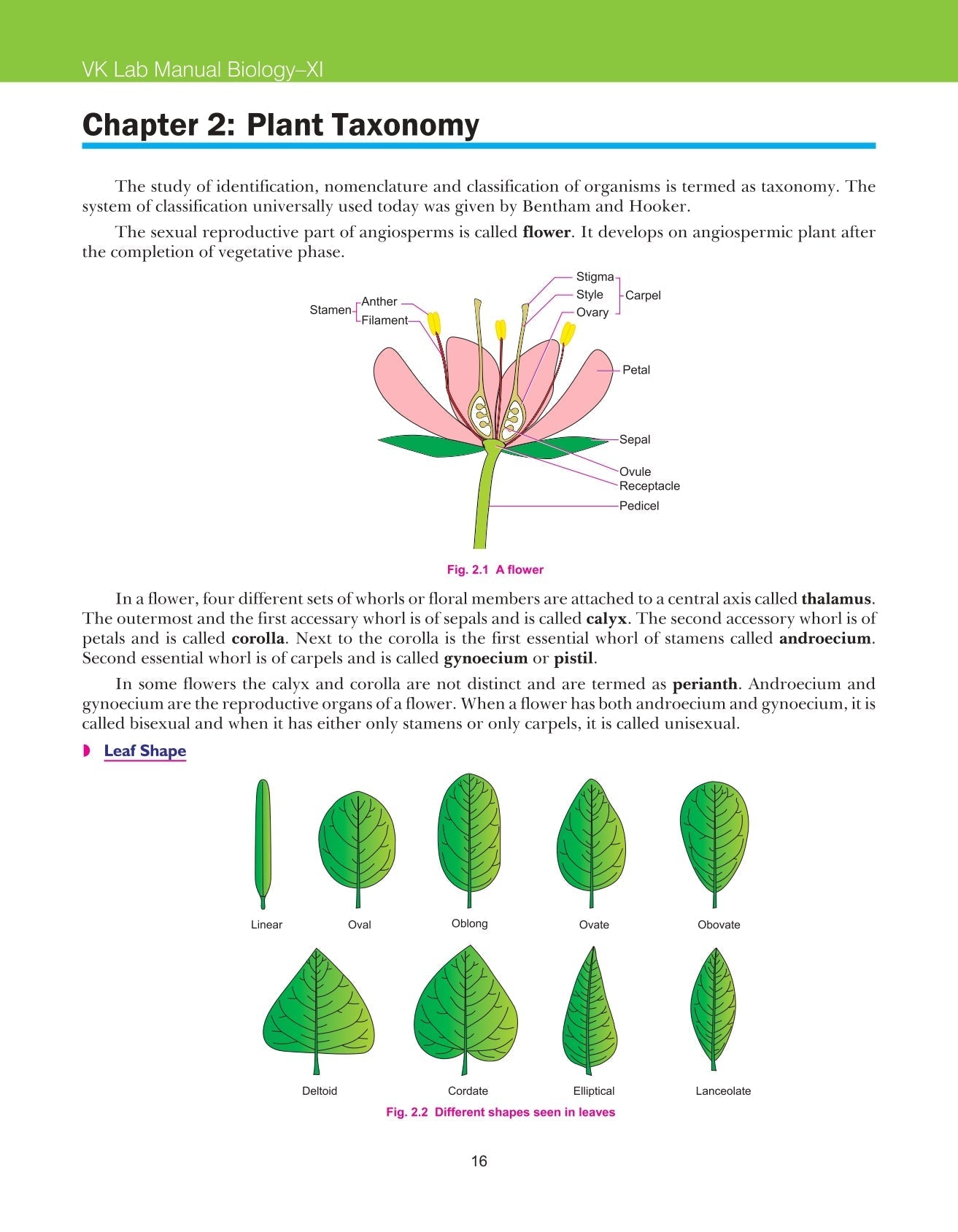 Class 11 Biology Lab Manual VK