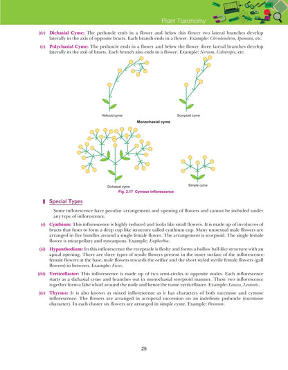 Class 11 Biology Lab Manual VK
